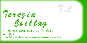 terezia csillag business card